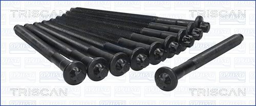 Varžtų kompl., cil. galvutės varžtai TRISCAN 98-5520