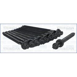 Varžtų kompl., cil. galvutės varžtai TRISCAN 98-5526