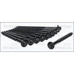 Varžtų kompl., cil. galvutės varžtai TRISCAN 98-5527