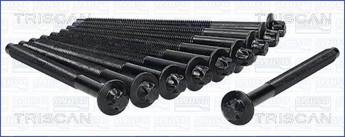 Varžtų kompl., cil. galvutės varžtai TRISCAN 98-5527