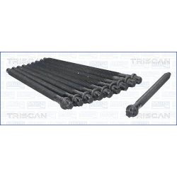 Varžtų kompl., cil. galvutės varžtai TRISCAN 98-5534