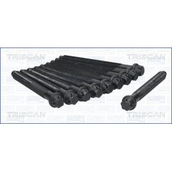 Varžtų kompl., cil. galvutės varžtai TRISCAN 98-6001