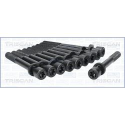 Varžtų kompl., cil. galvutės varžtai TRISCAN 98-6002