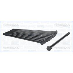 Varžtų kompl., cil. galvutės varžtai TRISCAN 98-6007