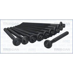 Varžtų kompl., cil. galvutės varžtai TRISCAN 98-6008