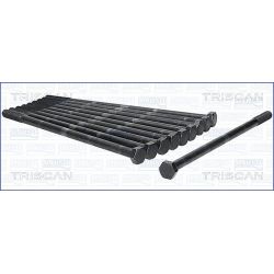 Varžtų kompl., cil. galvutės varžtai TRISCAN 98-6009