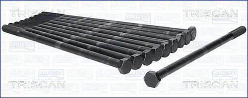 Varžtų kompl., cil. galvutės varžtai TRISCAN 98-6009