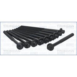 Varžtų kompl., cil. galvutės varžtai TRISCAN 98-6011