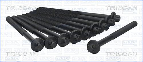 Varžtų kompl., cil. galvutės varžtai TRISCAN 98-6011