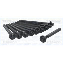 Varžtų kompl., cil. galvutės varžtai TRISCAN 98-6013