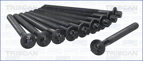 Varžtų kompl., cil. galvutės varžtai TRISCAN 98-6013