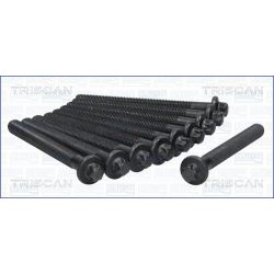 Varžtų kompl., cil. galvutės varžtai TRISCAN 98-6014