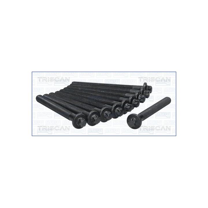 Varžtų kompl., cil. galvutės varžtai TRISCAN 98-6014