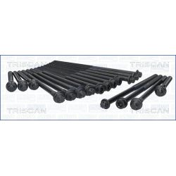 Varžtų kompl., cil. galvutės varžtai TRISCAN 98-6016
