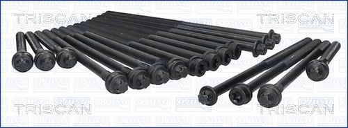 Varžtų kompl., cil. galvutės varžtai TRISCAN 98-6016