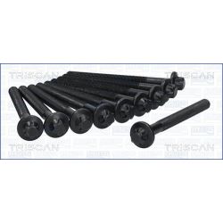 Varžtų kompl., cil. galvutės varžtai TRISCAN 98-6017