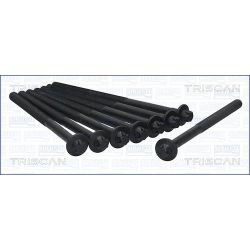 Varžtų kompl., cil. galvutės varžtai TRISCAN 98-7518