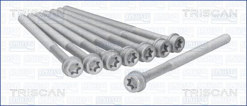 Varžtų kompl., cil. galvutės varžtai TRISCAN 98-7519