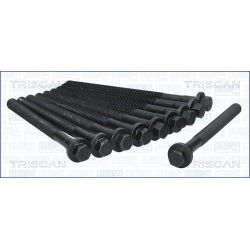 Varžtų kompl., cil. galvutės varžtai TRISCAN 98-8006