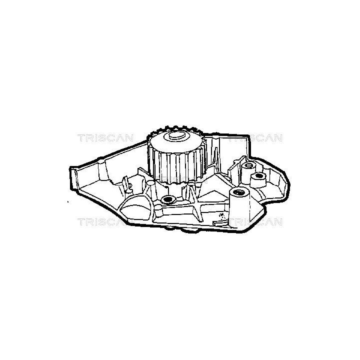 Vandens siurblys, variklio aušinimas TRISCAN 8600 10001