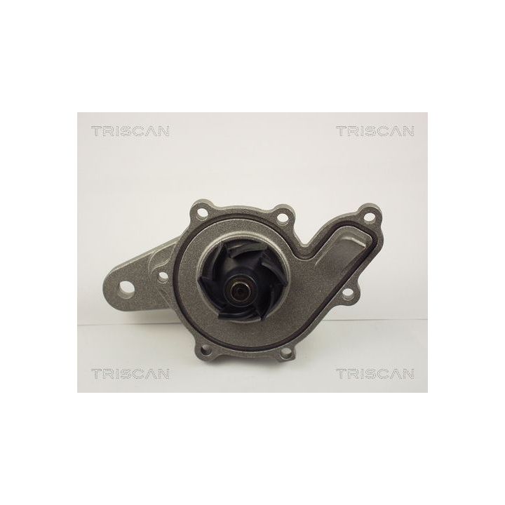 Vandens siurblys, variklio aušinimas TRISCAN 8600 10014