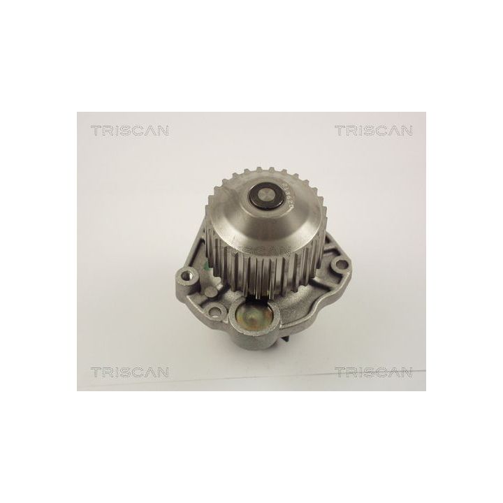 Vandens siurblys, variklio aušinimas TRISCAN 8600 10020