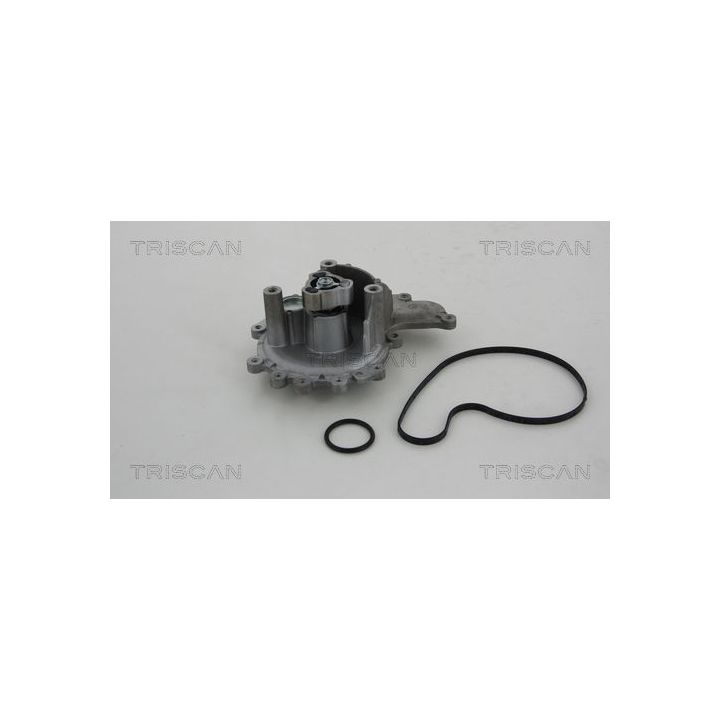 Vandens siurblys, variklio aušinimas TRISCAN 8600 10028