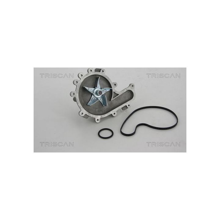 Vandens siurblys, variklio aušinimas TRISCAN 8600 10028