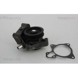 Vandens siurblys, variklio aušinimas TRISCAN 8600 10031