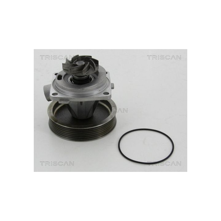 Vandens siurblys, variklio aušinimas TRISCAN 8600 10080