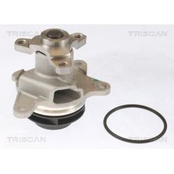 Vandens siurblys, variklio aušinimas TRISCAN 8600 10086