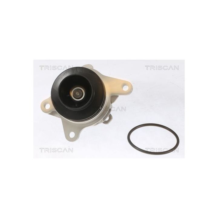 Vandens siurblys, variklio aušinimas TRISCAN 8600 10086