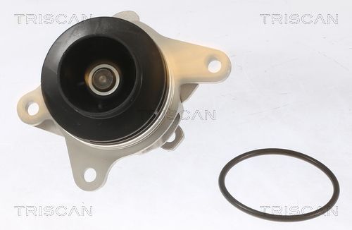 Vandens siurblys, variklio aušinimas TRISCAN 8600 10086