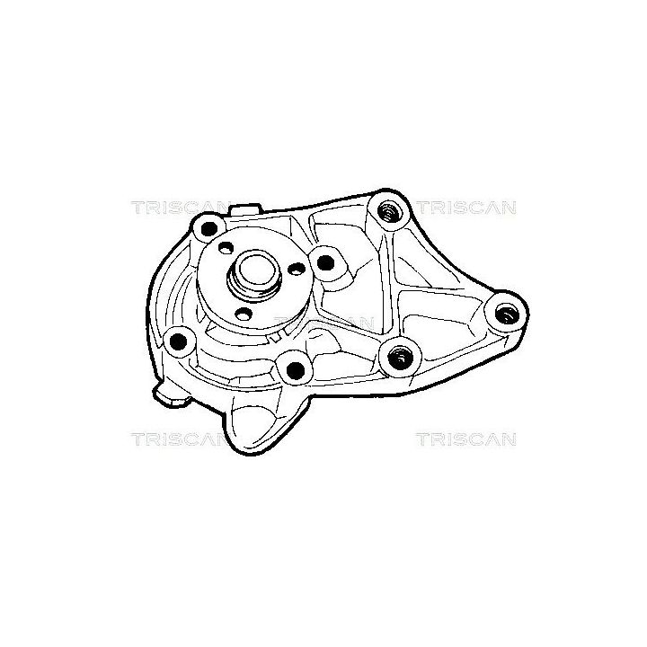 Vandens siurblys, variklio aušinimas TRISCAN 8600 10864