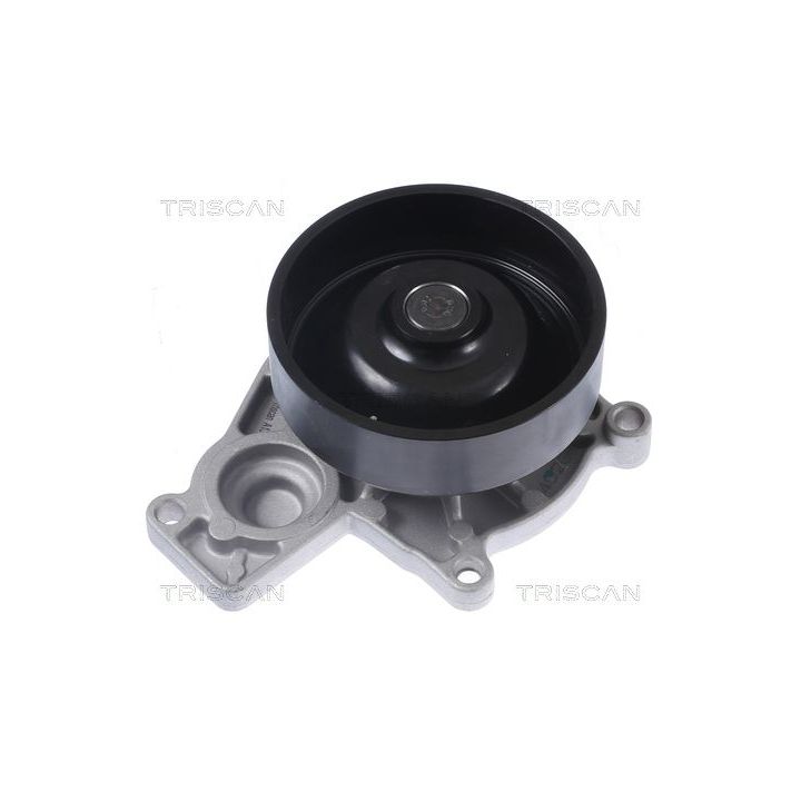 Vandens siurblys, variklio aušinimas TRISCAN 8600 11050