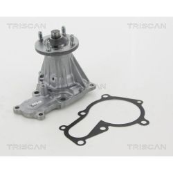 Vandens siurblys, variklio aušinimas TRISCAN 8600 13038