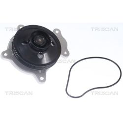 Vandens siurblys, variklio aušinimas TRISCAN 8600 13048