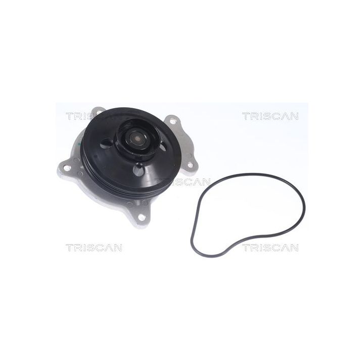 Vandens siurblys, variklio aušinimas TRISCAN 8600 13048