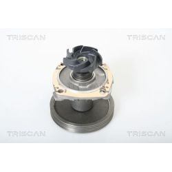 Vandens siurblys, variklio aušinimas TRISCAN 8600 15010