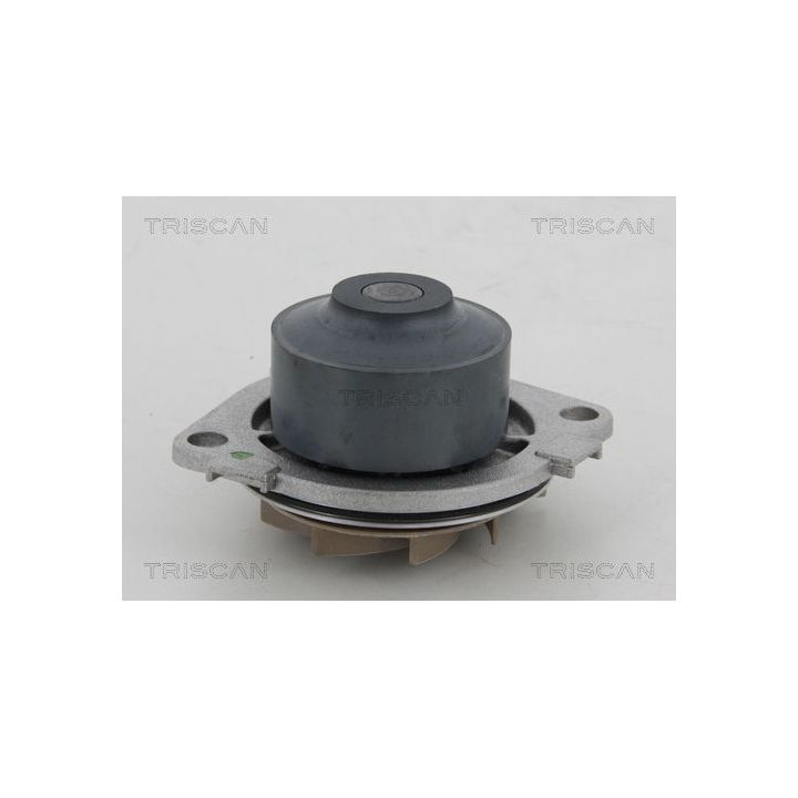 Vandens siurblys, variklio aušinimas TRISCAN 8600 15013