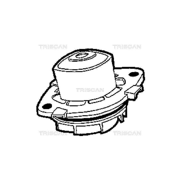 Vandens siurblys, variklio aušinimas TRISCAN 8600 15013