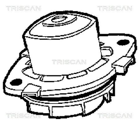 Vandens siurblys, variklio aušinimas TRISCAN 8600 15013