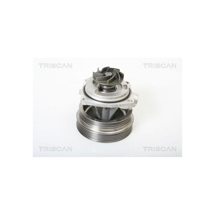 Vandens siurblys, variklio aušinimas TRISCAN 8600 15014