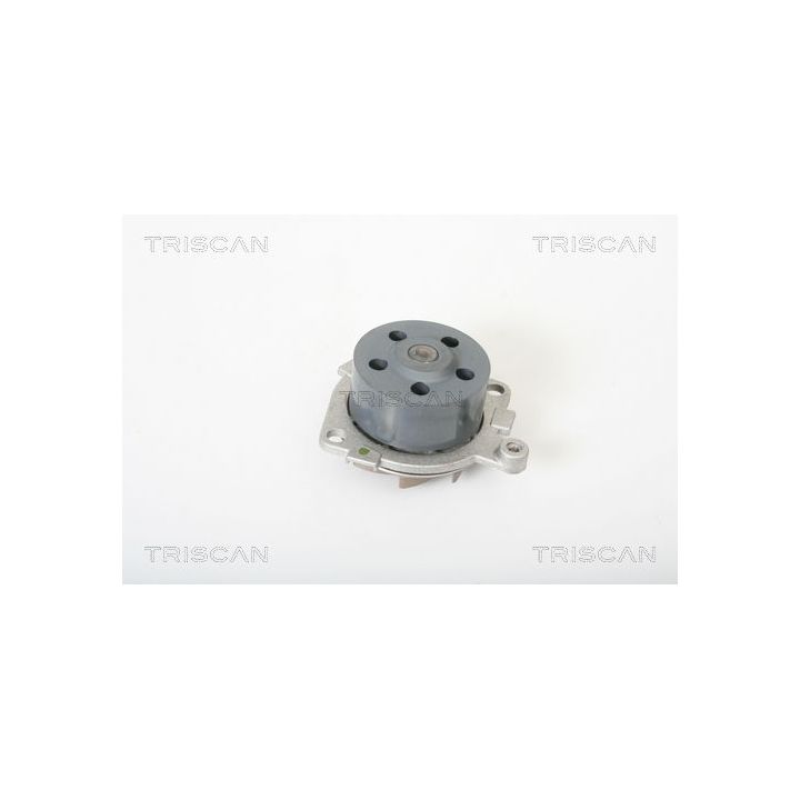 Vandens siurblys, variklio aušinimas TRISCAN 8600 15018