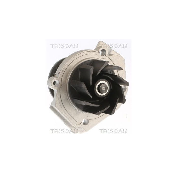 Vandens siurblys, variklio aušinimas TRISCAN 8600 15033