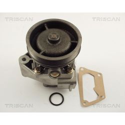 Vandens siurblys, variklio aušinimas TRISCAN 8600 15129