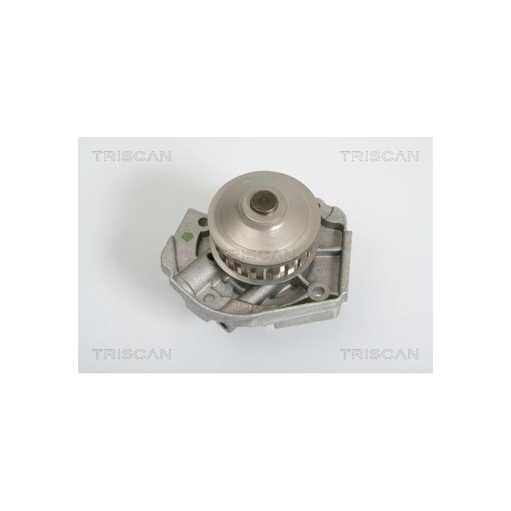 Vandens siurblys, variklio aušinimas TRISCAN 8600 15811