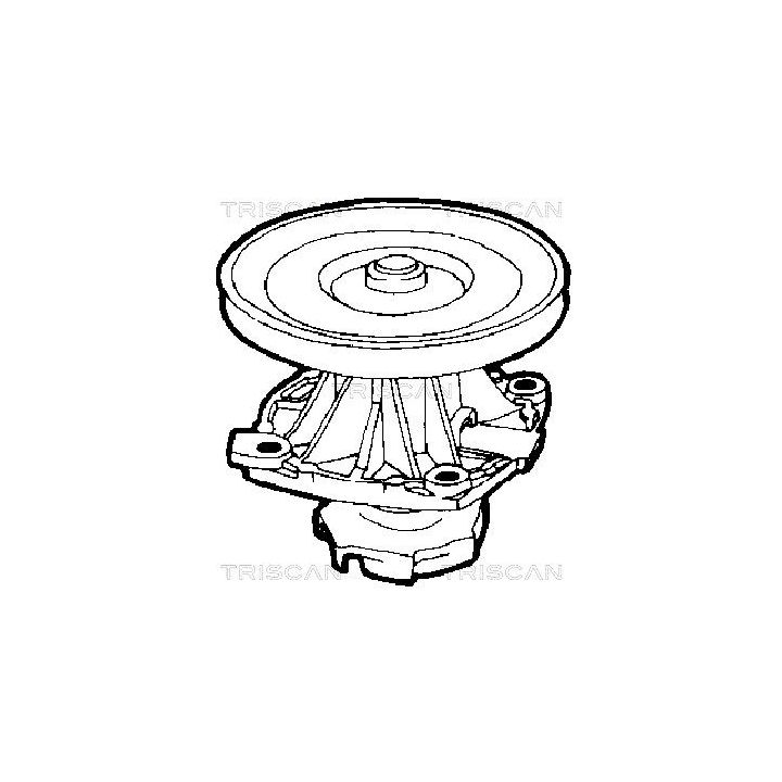 Vandens siurblys, variklio aušinimas TRISCAN 8600 15873