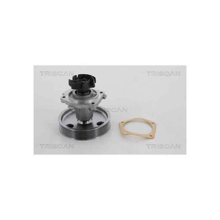 Vandens siurblys, variklio aušinimas TRISCAN 8600 15977