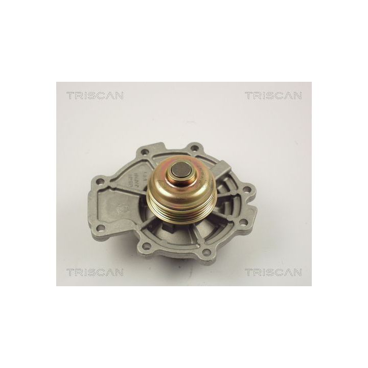 Vandens siurblys, variklio aušinimas TRISCAN 8600 16011